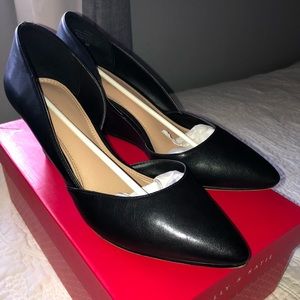 Black wedge pump